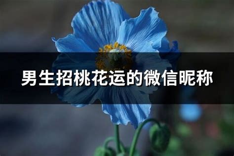 男生招桃花|招桃花的十大秘訣五大方法，一般人我不告訴他 